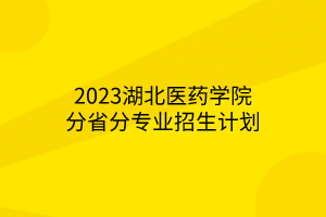 2023湖北医药学院分省分专业招生计划