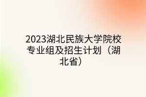 2023湖北民族大学院校专业组及招生计划（湖北省）