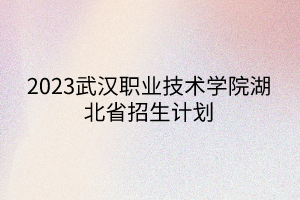 2023武汉职业技术学院湖北省招生计划