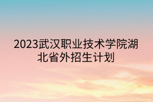 2023武汉职业技术学院湖北省外招生计划