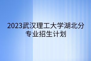 2023武汉理工大学湖北分专业招生计划
