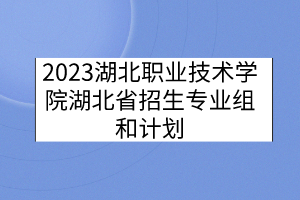 2023湖北职业技术学院湖北省招生专业组和计划
