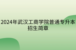 2024年武汉工商学院普通专升本招生简章(1)