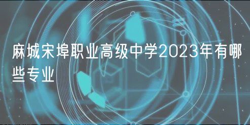 麻城宋埠职业高级中学2023年有哪些专业