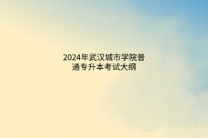 2024年武汉城市学院普通专升本考试大纲