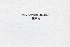 武汉东湖学院2023年招生章程