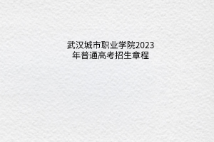 武汉城市职业学院2023年普通高考招生章程