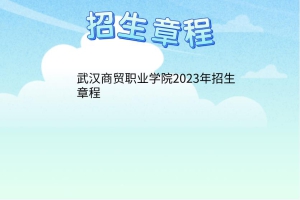 武汉商贸职业学院2023年招生章程