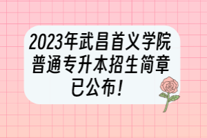 2023年武昌首义学院普通专升本招生简章已公布！