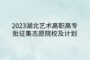 2023湖北艺术高职高专批征集志愿院校及计划