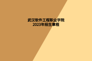 武汉软件工程职业学院2023年招生章程