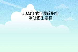2023年武汉民政职业学院招生章程