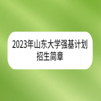 2023年山东大学强基计划招生简章