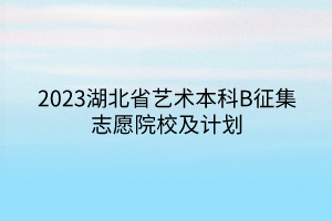 2023湖北省艺术本科B征集志愿院校及计划