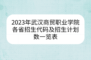 2023年武汉商贸职业学院各省招生代码及招生计划数一览表
