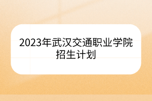 2023年武汉交通职业学院招生计划