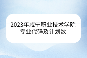 2023年咸宁职业技术学院专业代码及计划数