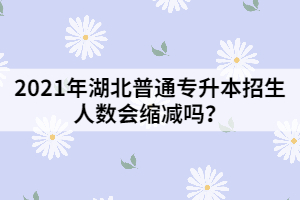 2021年湖北普通专升本招生人数会缩减吗?