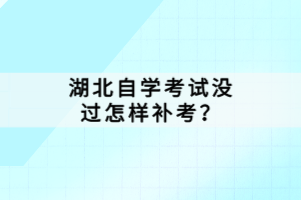 湖北自学考试没过怎样补考？