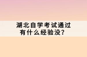 湖北自学考试通过有什么经验没？