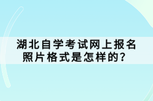 湖北自学考试网上报名照片格式是怎样的？