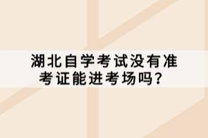 湖北自学考试没有准考证能进考场吗？