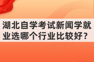 湖北自学考试新闻学就业选哪个行业比较好？