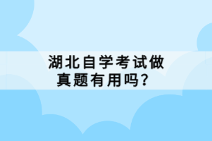 湖北自学考试做真题有用吗？