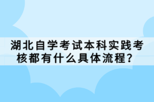 湖北自学考试本科实践考核都有什么具体流程？