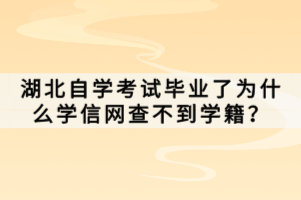 湖北自学考试毕业了为什么学信网查不到学籍？