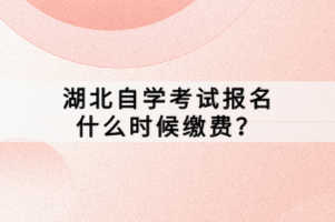 湖北自学考试报名什么时候缴费？