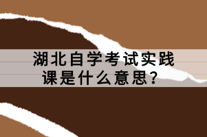 湖北自学考试实践课是什么意思？