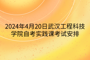 2024年4月20日武汉工程科技学院自考实践课考试安排