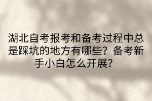 湖北自考报考和备考过程中总是踩坑的地方有哪些？备考新手小白怎么开展？