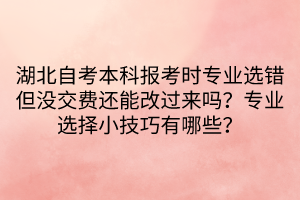 湖北自考本科报考时专业选错但没交费还能改过来吗？专业选择小技巧有哪些？