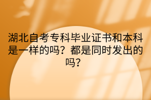 湖北自考专科毕业证书和本科是一样的吗？都是同时发出的吗？
