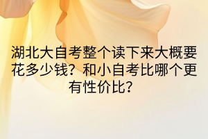 湖北大自考整个读下来大概要花多少钱？和小自考比哪个更有性价比？