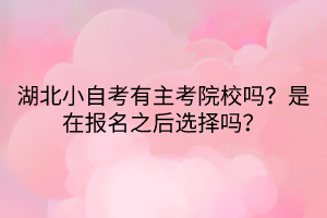湖北小自考有主考院校吗？是在报名之后选择吗？