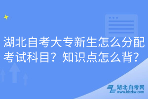湖北自考大专新生怎么分配考试科目？知识点怎么背？