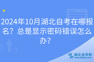 2024年10月湖北自考在哪报名？总是显示密码错误怎么办？