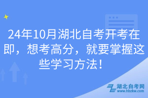 24年10月湖北自考开考在即，想考高分，就要掌握这些学习方法！