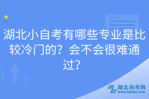 湖北小自考有哪些专业是比较冷门的？会不会很难通过？