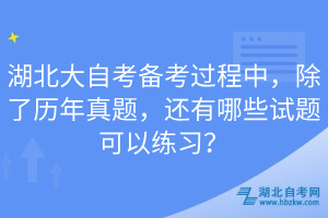 湖北大自考备考过程中，除了历年真题，还有哪些试题可以练习？