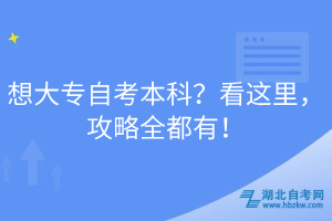 想大专自考本科？看这里，攻略全都有！