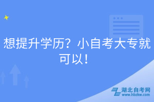 想提升学历？小自考大专就可以！