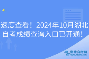 速度查看！2024年10月湖北自考成绩查询入口已开通！
