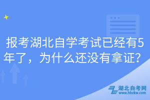 报考湖北自学考试已经有5年了，为什么还没有拿证？