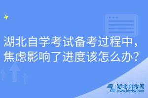 湖北自学考试备考过程中，焦虑影响了进度该怎么办？