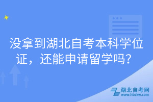 没拿到湖北自考本科学位证，还能申请留学吗？
