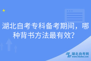 湖北自考专科备考期间，哪种背书方法最有效？